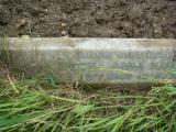 image of grave number 613556